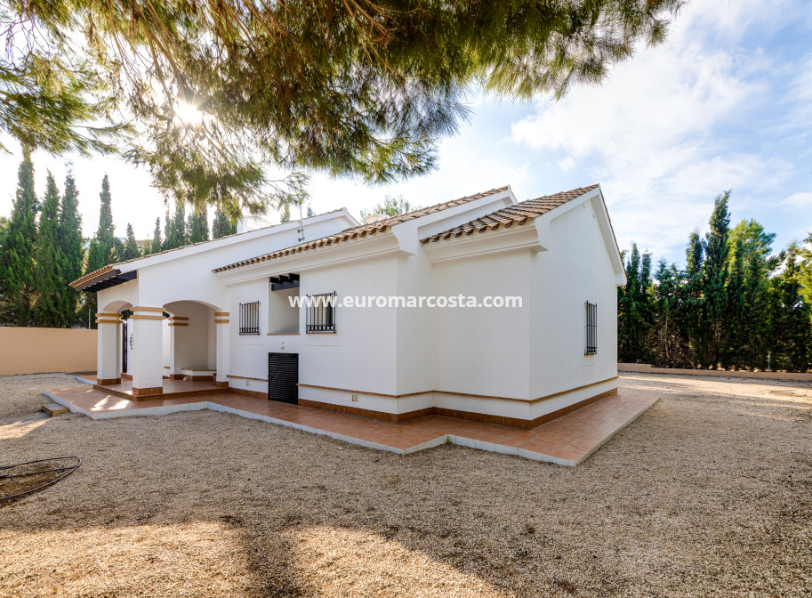New Build - detached - Fuente Álamo de Murcia - Murcia