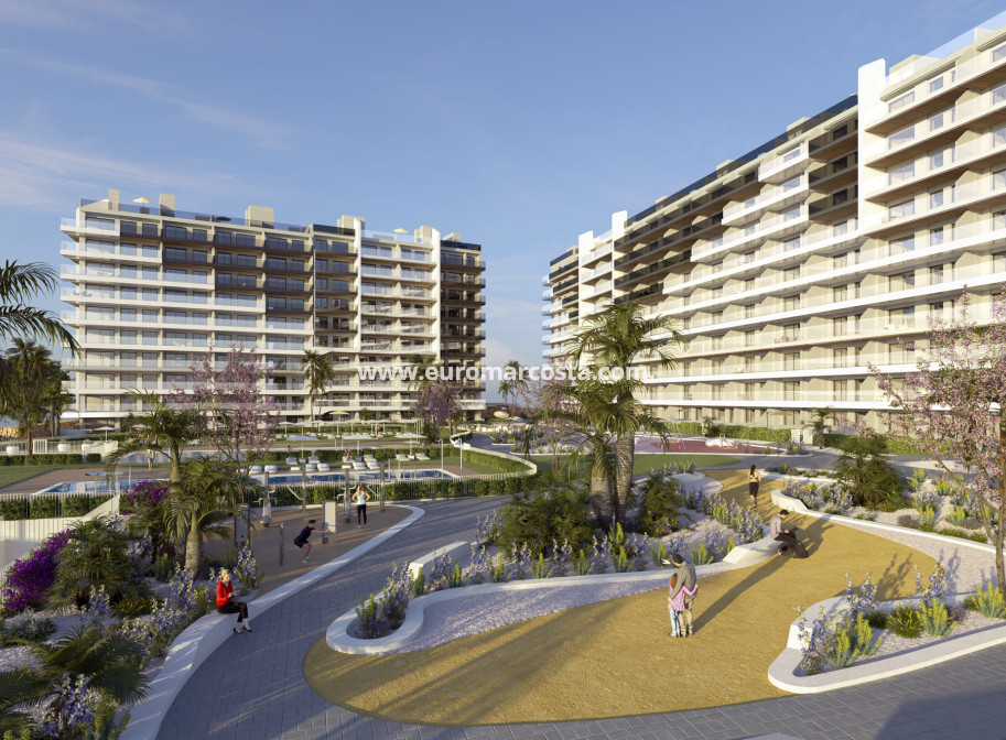 Nueva construcción  - ground-floor - Torrevieja - TORREVIEJA