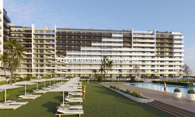 Nueva construcción  - ground-floor - Torrevieja - TORREVIEJA