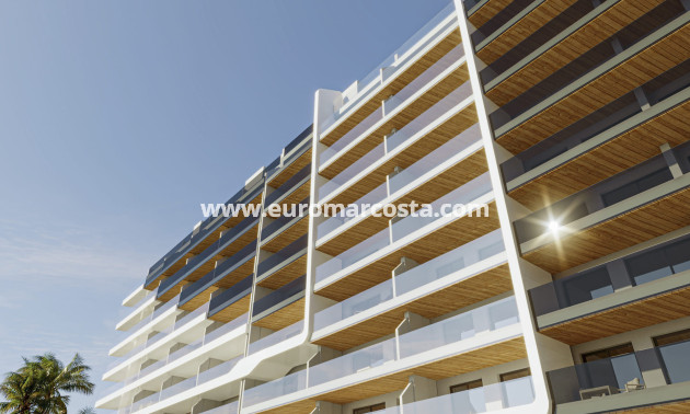New Build - ground-floor - Torrevieja - TORREVIEJA
