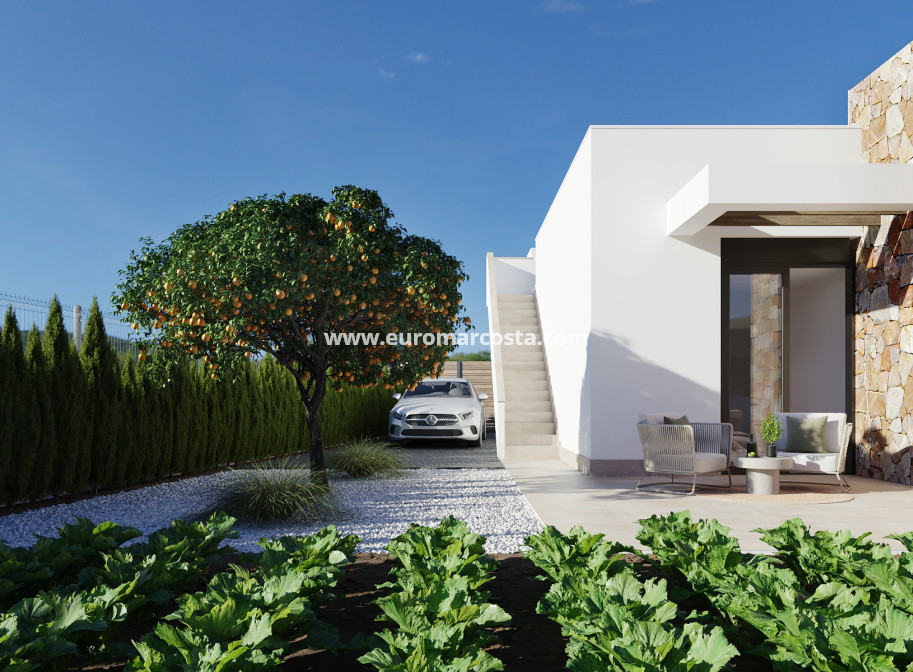New Build - detached - Fuente Álamo de Murcia - Murcia