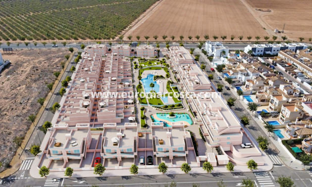 Nueva construcción  - terraced - Pilar de la Horadada