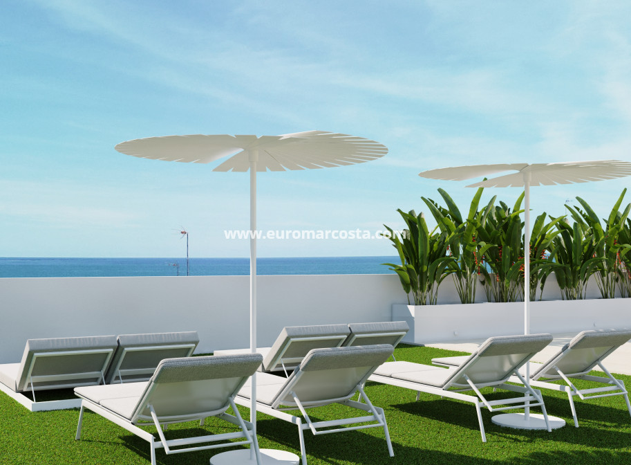 Nueva construcción  - Apartamento / piso - Guardamar del Segura