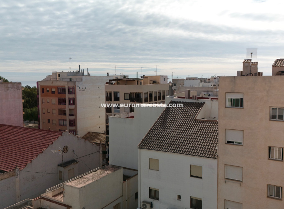 Nueva construcción  - ground-floor - Guardamar del Segura