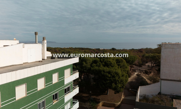 Nueva construcción  - ground-floor - Guardamar del Segura