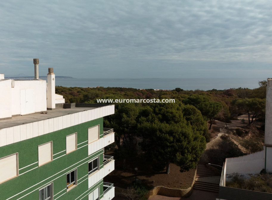 Nueva construcción  - ground-floor - Guardamar del Segura