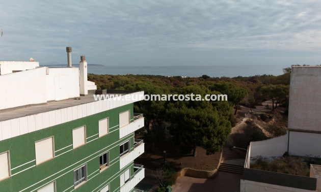 Nueva construcción  - Apartamento / piso - Guardamar del Segura