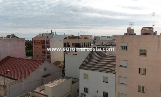 Nueva construcción  - Apartamento / piso - Guardamar del Segura