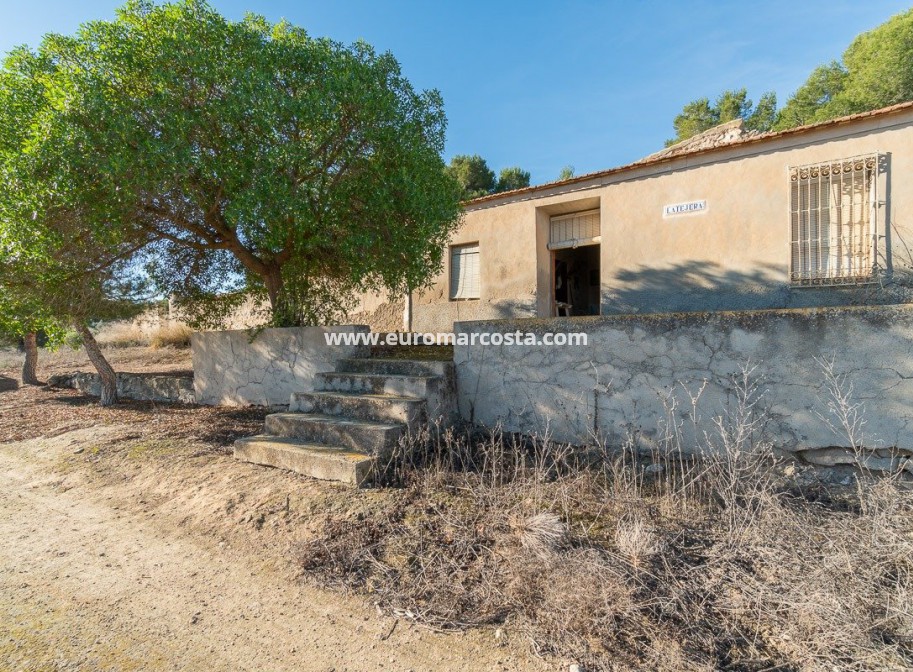 Venta - Casa de campo - Pilar de la Horadada