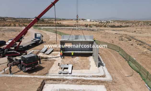 New Build - detached - Fuente Álamo de Murcia - Murcia