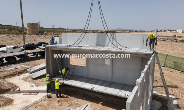 New Build - detached - Fuente Álamo de Murcia - Murcia