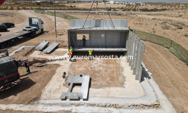 New Build - detached - Fuente Álamo de Murcia - Murcia