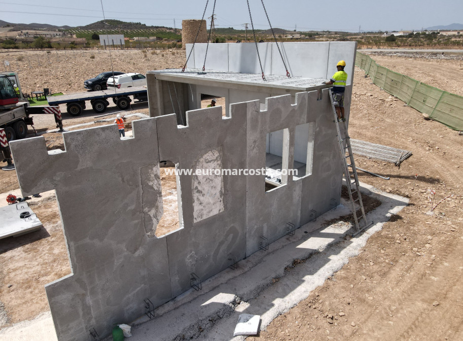 New Build - detached - Fuente Álamo de Murcia - Murcia