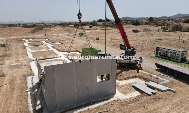 New Build - detached - Fuente Álamo de Murcia - Murcia