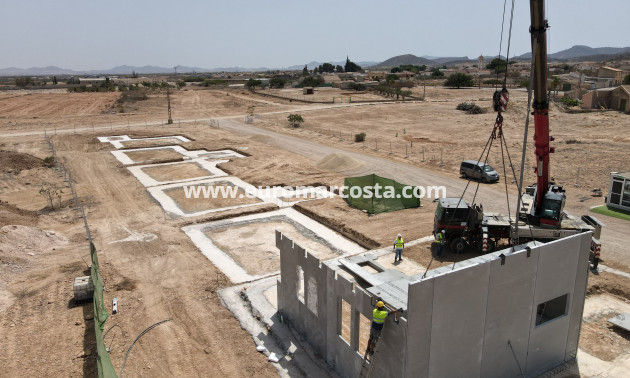 New Build - detached - Fuente Álamo de Murcia - Murcia