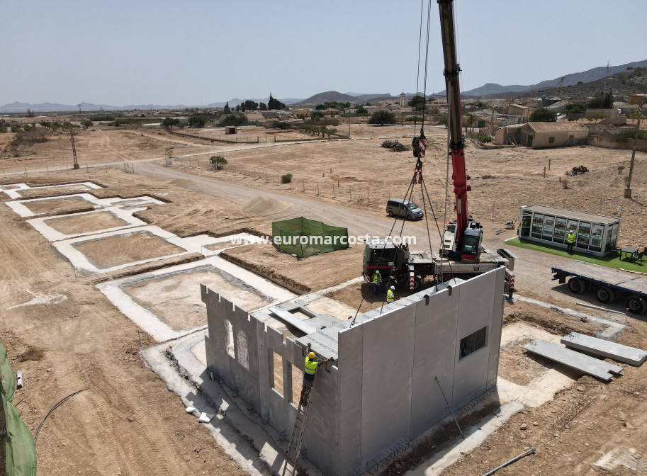 New Build - detached - Fuente Álamo de Murcia - Murcia