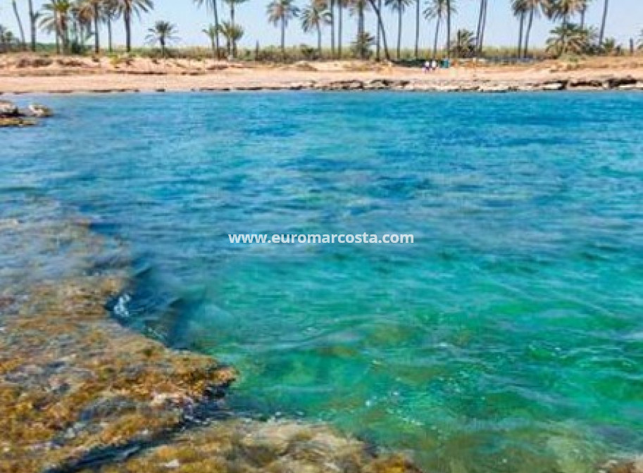 New Build - ground-floor - Torrevieja - TORREVIEJA