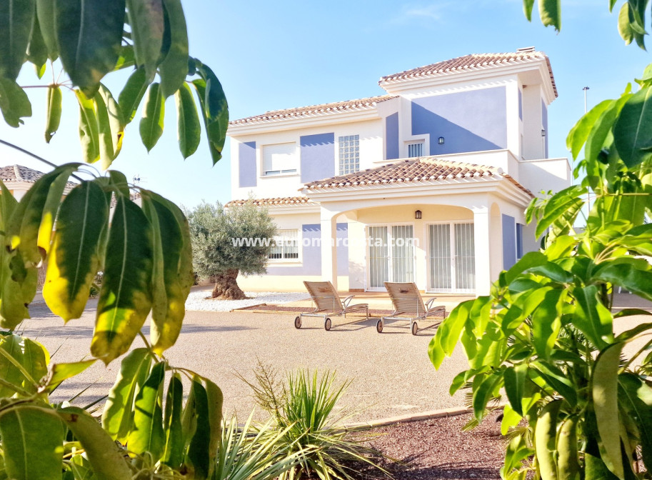 New Build - detached - Lorca - Purias