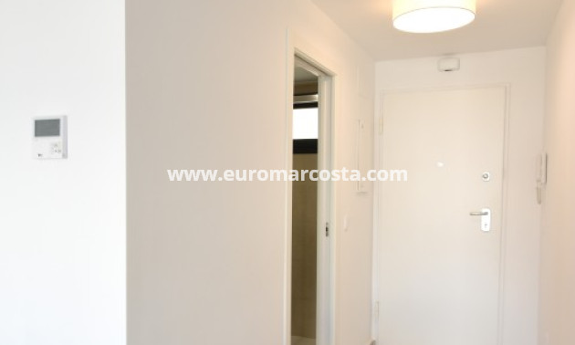 New Build - Apartment / flat - San Miguel de Salinas