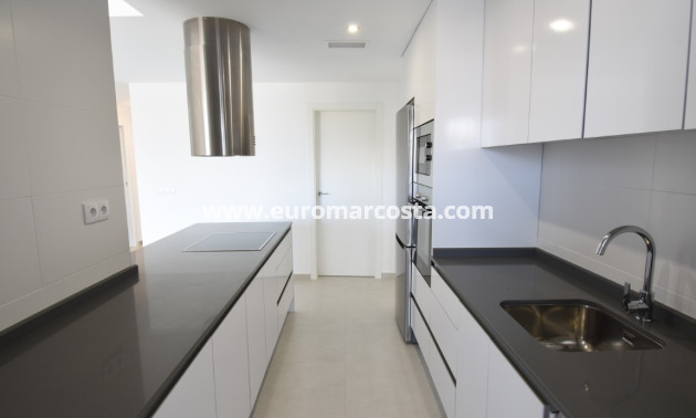 New Build - Penthouse - San Miguel de Salinas