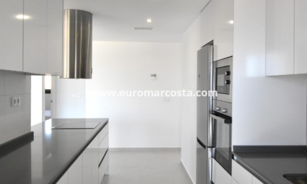 New Build - Penthouse - San Miguel de Salinas