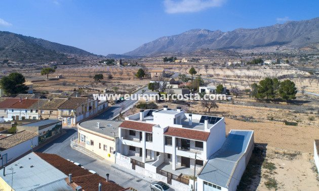 New Build - low-bungalow - La Canalosa - Alicante