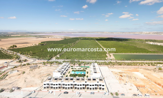 Nueva construcción  - low-bungalow - Torrevieja - TORREVIEJA
