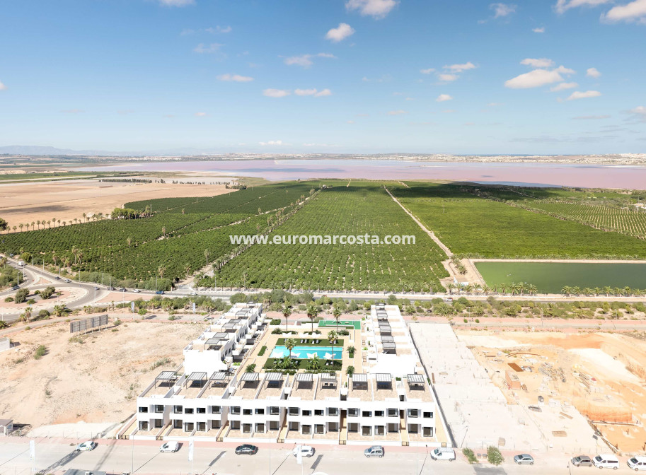 Nueva construcción  - low-bungalow - Torrevieja - TORREVIEJA