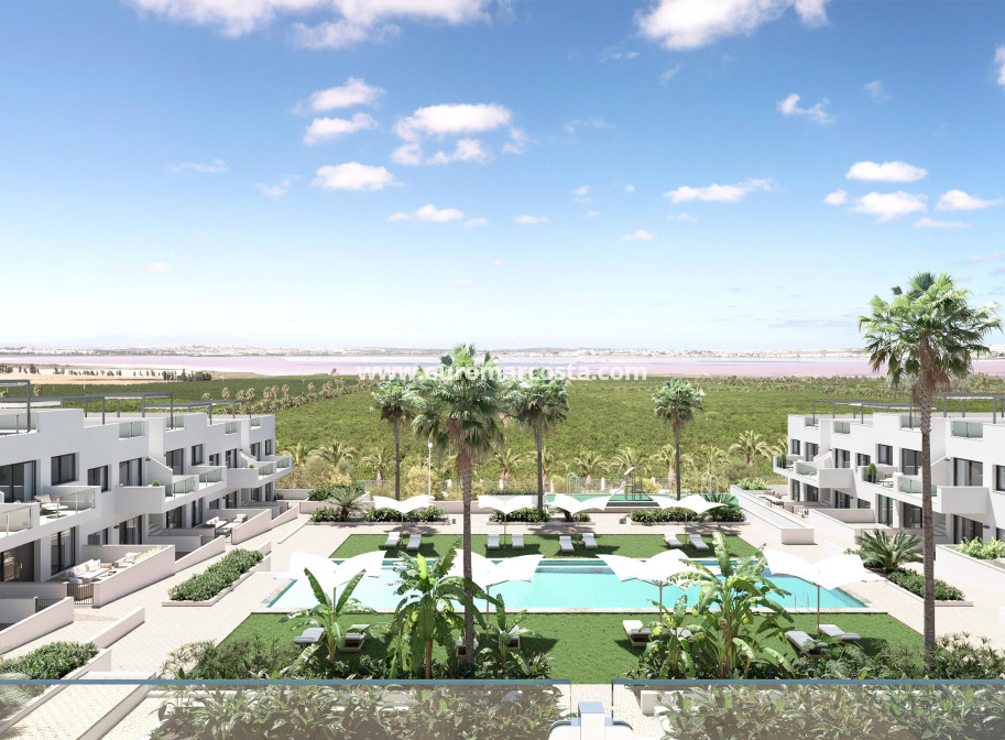 Nueva construcción  - low-bungalow - Torrevieja - TORREVIEJA