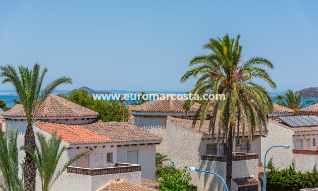 Nueva construcción  - detached - Playa Paraiso