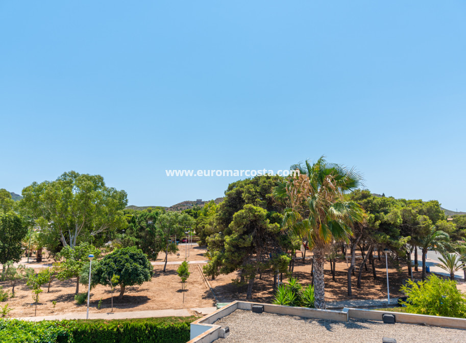 Nueva construcción  - detached - Playa Paraiso