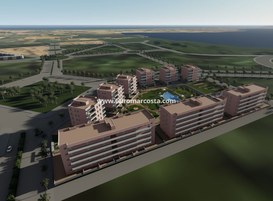 Nueva construcción  - ground-floor - Guardamar del Segura
