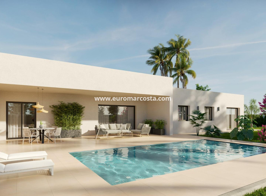 Nueva construcción  - detached - Aspe
