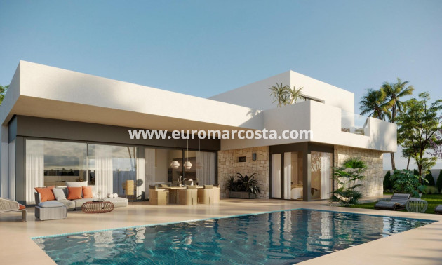 Nueva construcción  - detached - Aspe
