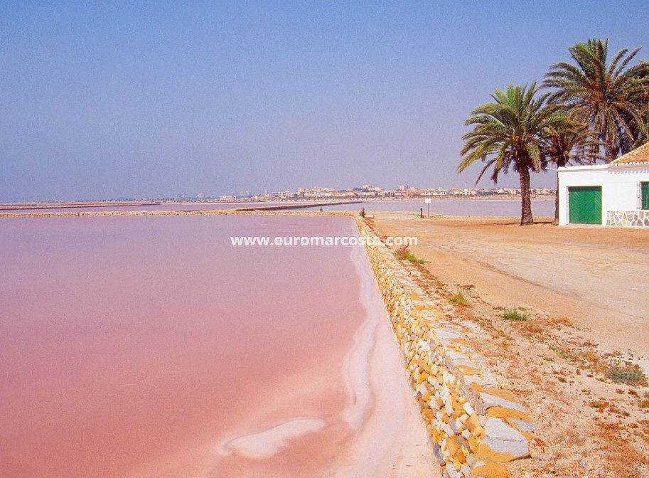 New Build - Apartment / flat - San Pedro del Pinatar - San Pedro de Pinatar