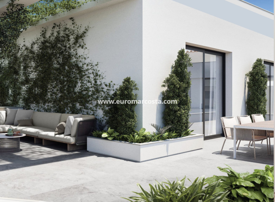 New Build - Penthouse - Torrevieja - TORREVIEJA