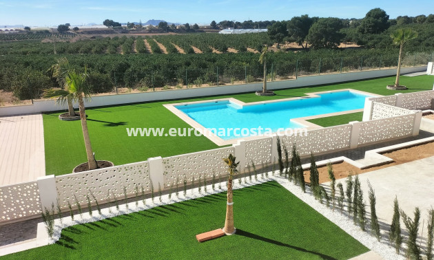 Neubauten - detached - Pilar de la Horadada