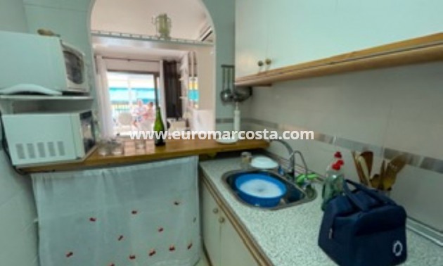 Alquiler a corto plazo - Apartamento / piso - Torrevieja - La Mata