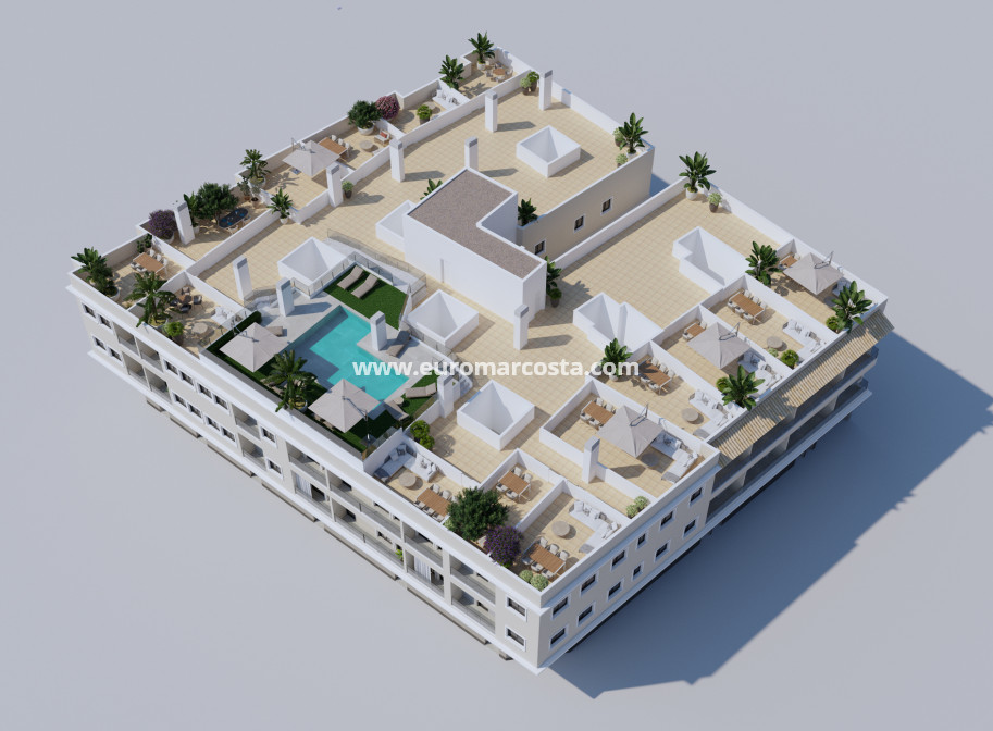 New Build - Penthouse - Algorfa