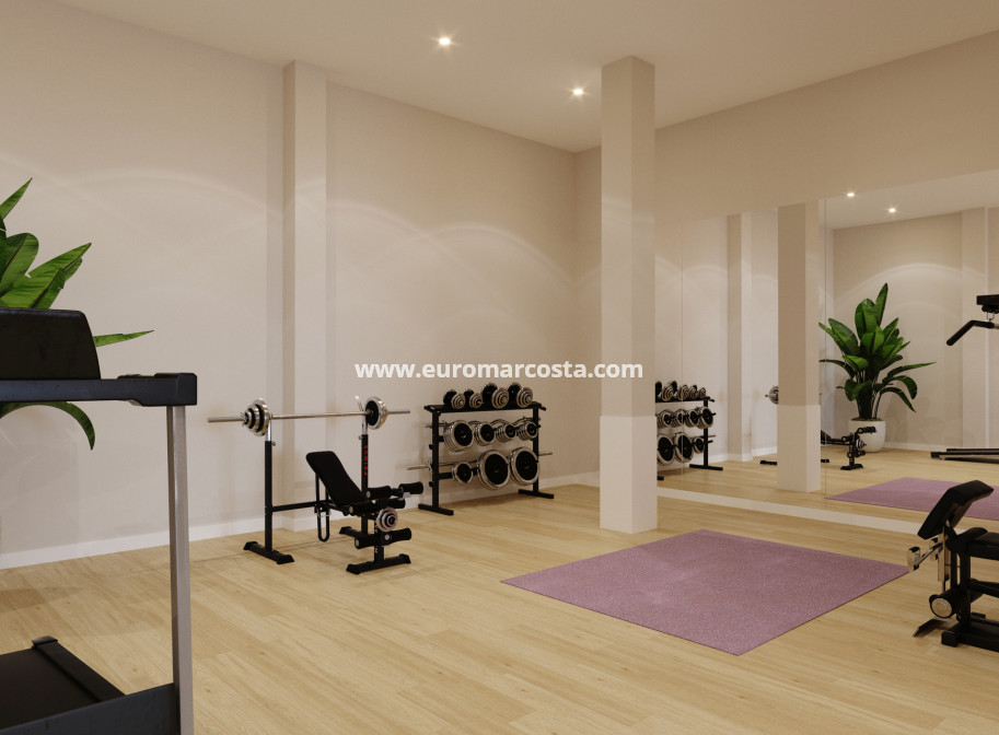 New Build - Penthouse - Algorfa