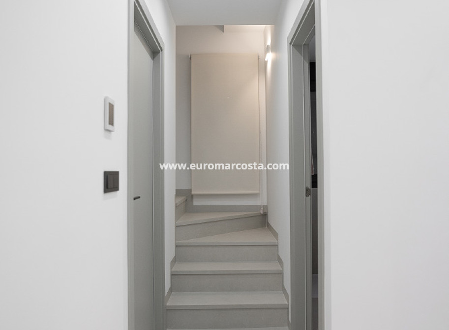 Nueva construcción  - detached - San Miguel de Salinas
