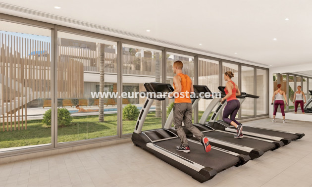 New Build - Penthouse - Pilar de la Horadada