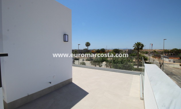 Nueva construcción  - detached - Pilar de la Horadada
