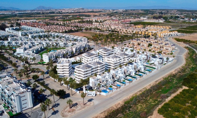 Nueva construcción  - Apartamento / piso - Guardamar del Segura