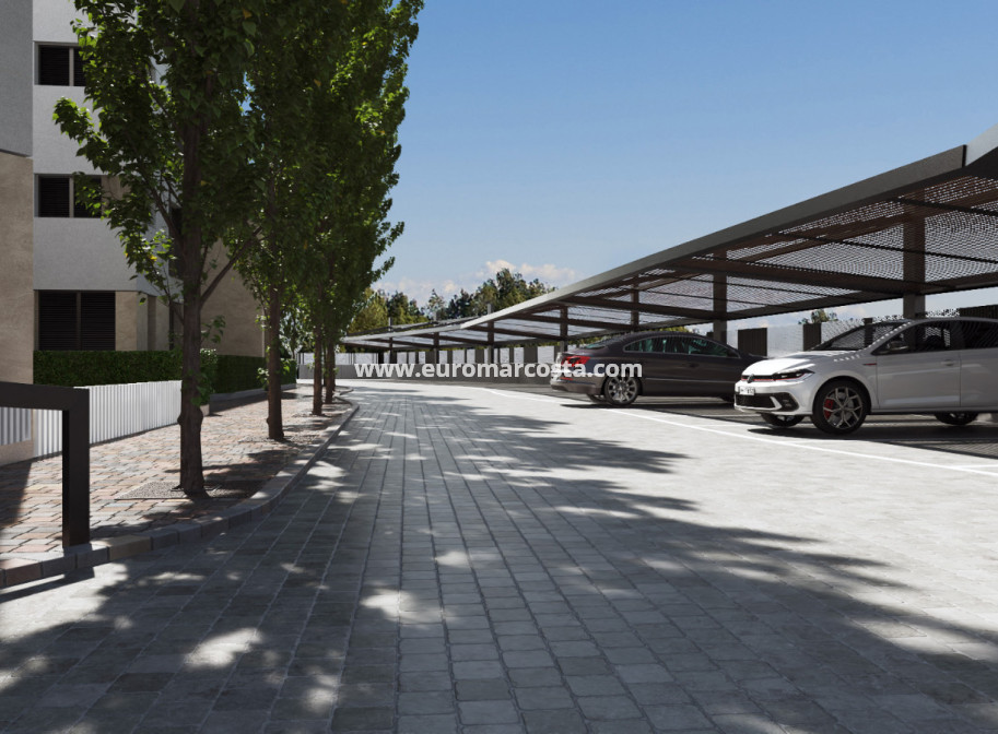 New Build - Apartment / flat - Santa Rosalía