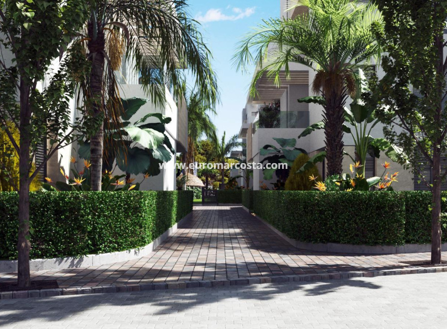 New Build - Apartment / flat - Santa Rosalía