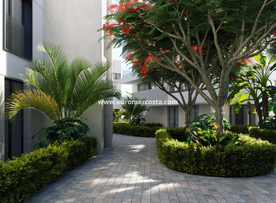 New Build - ground-floor - Santa Rosalía