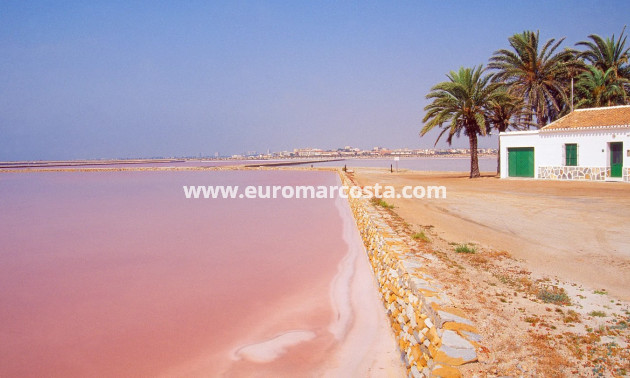 New Build - low-bungalow - Pilar de la Horadada
