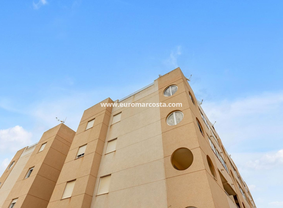 Objekte zum Wiederverkauf - Wohnung - Torrevieja - TORREVIEJA