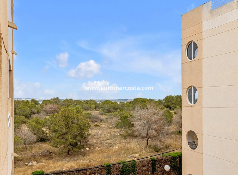 Objekte zum Wiederverkauf - Wohnung - Torrevieja - TORREVIEJA